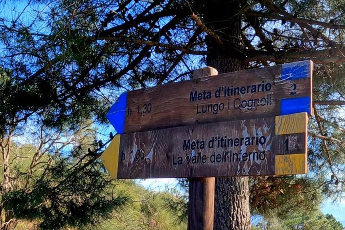 un rètol de fusta davant d'un arbre