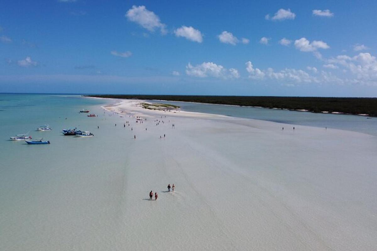 um grupo de pessoas em uma praia no oceano