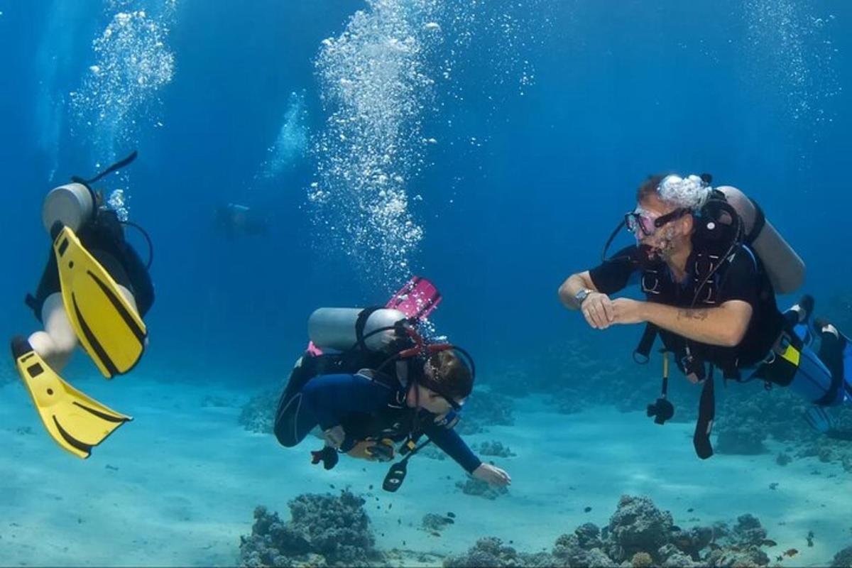 un gruppo di persone che si immergono nell'oceano