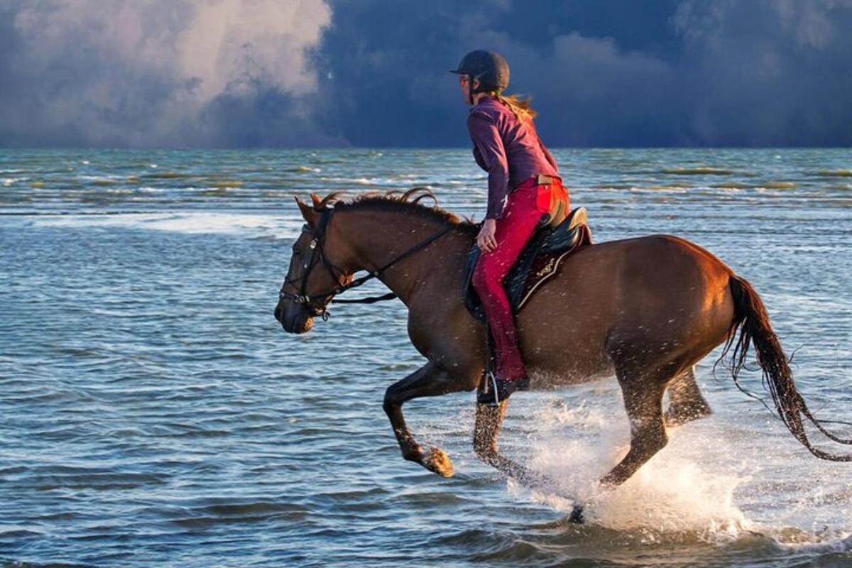 a person riding a horse in the water