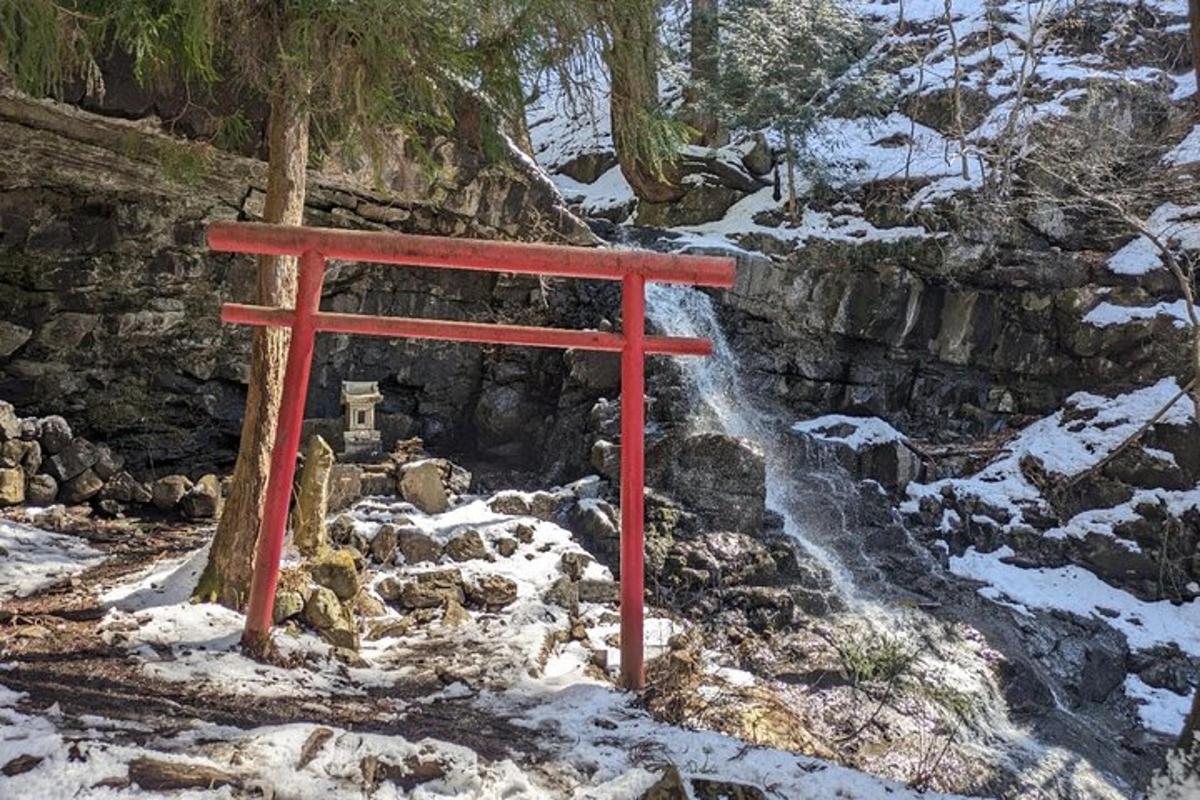 một cổng torii màu đỏ trong tuyết bên cạnh một thác nước