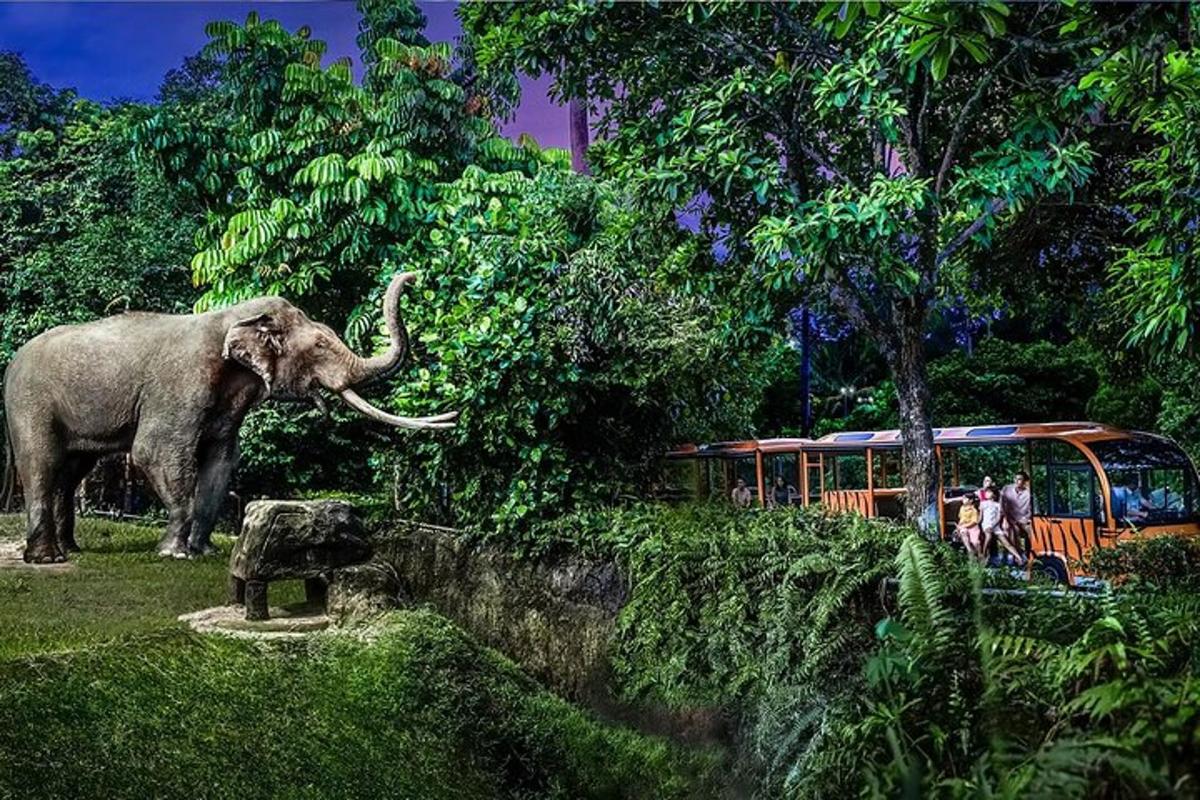 an elephant standing next to a bus with people