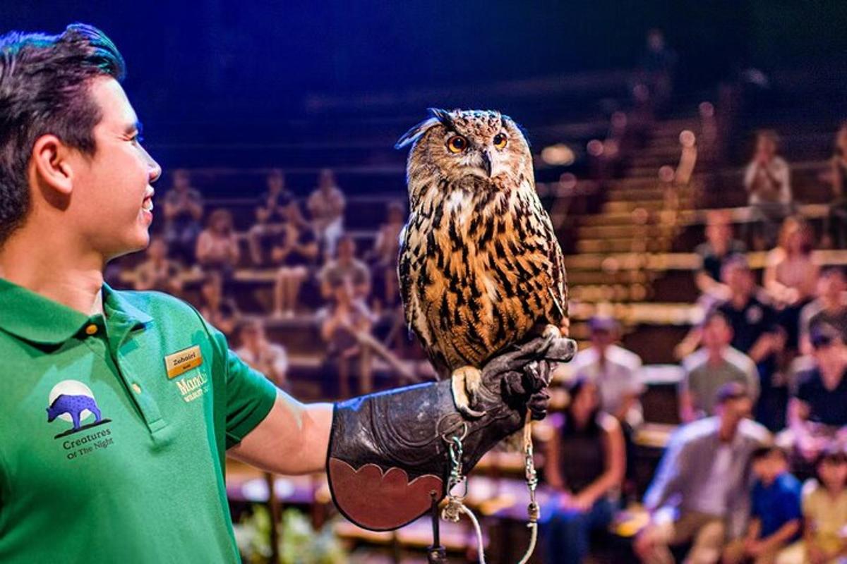 a man is holding an owl on his hand