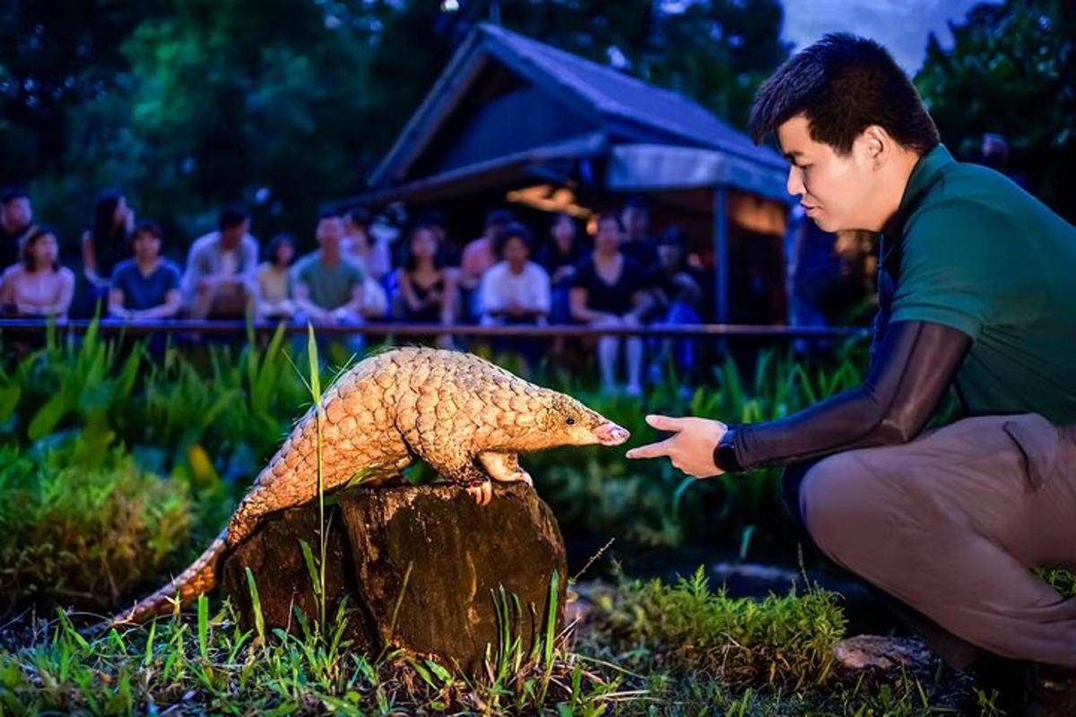 a man is looking at a lizard on a tree stump