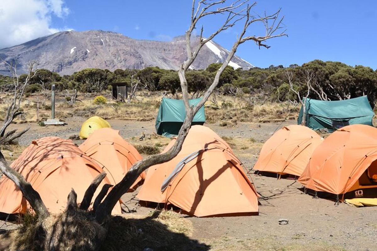 un gruppo di tende nel deserto con una montagna sullo sfondo