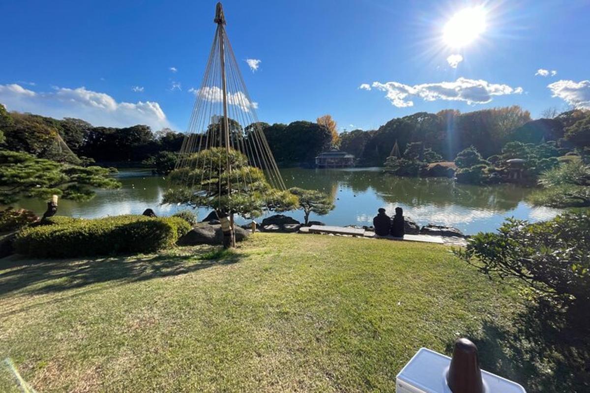 una vista d'un llac amb gent asseguda en un parc