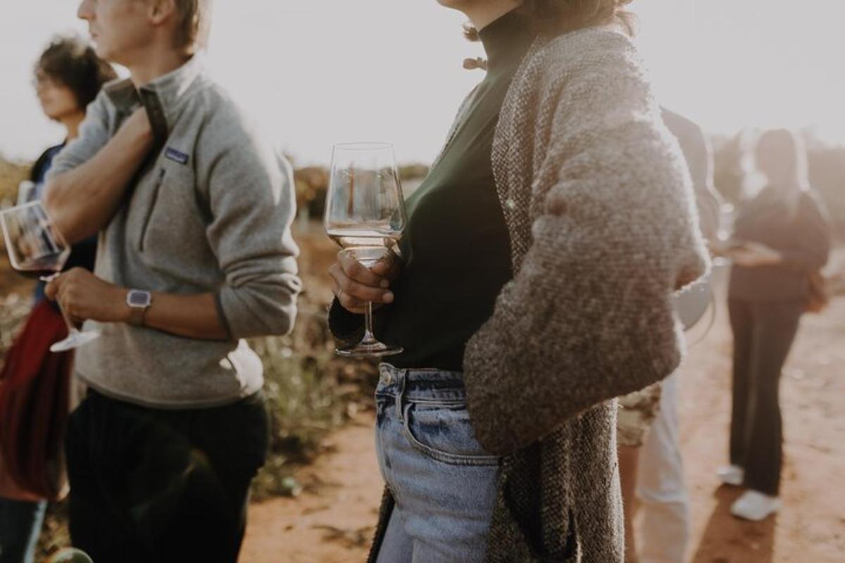 un gruppo di persone che tengono in mano bicchieri di vino