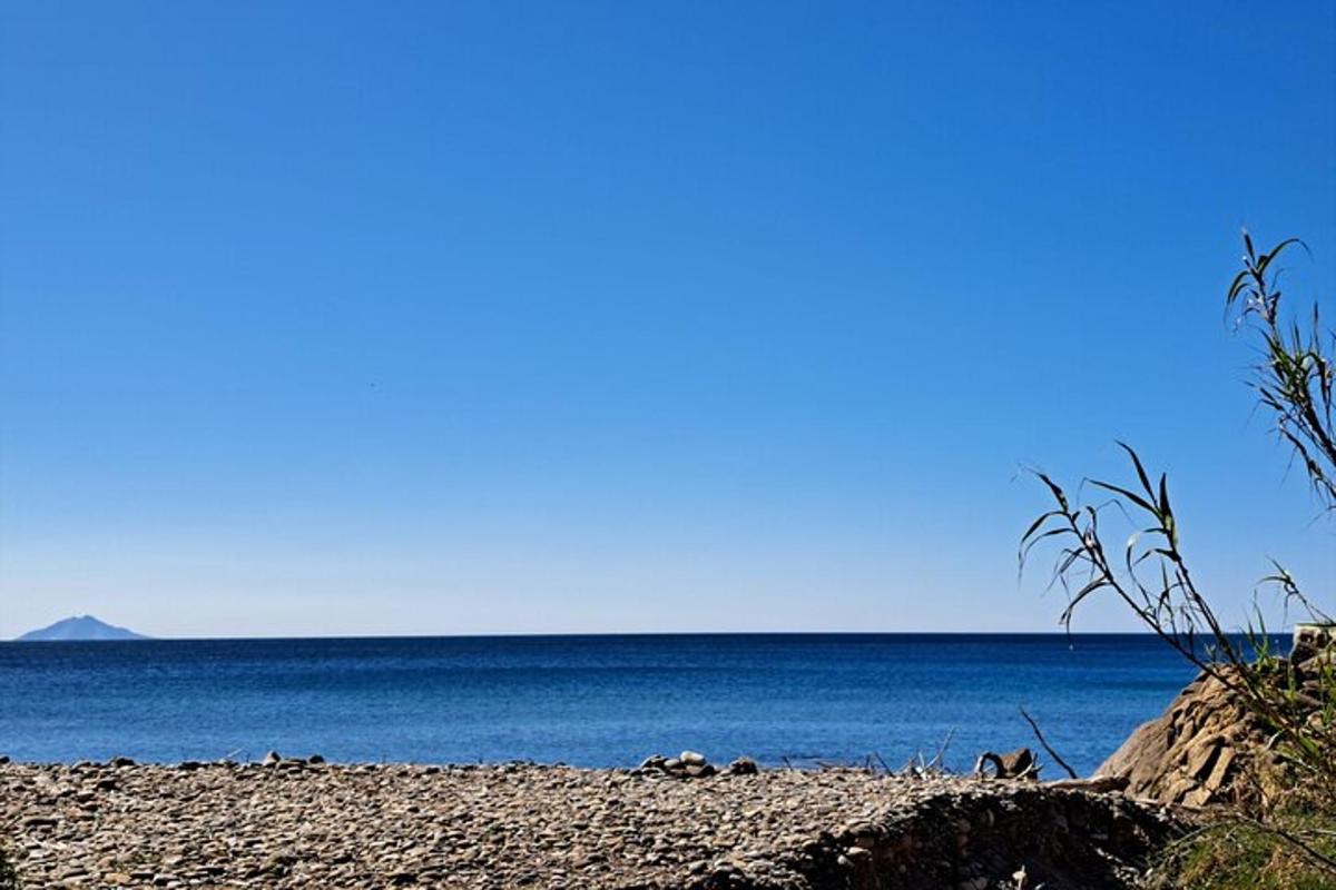 a sandy beach with the ocean in the background