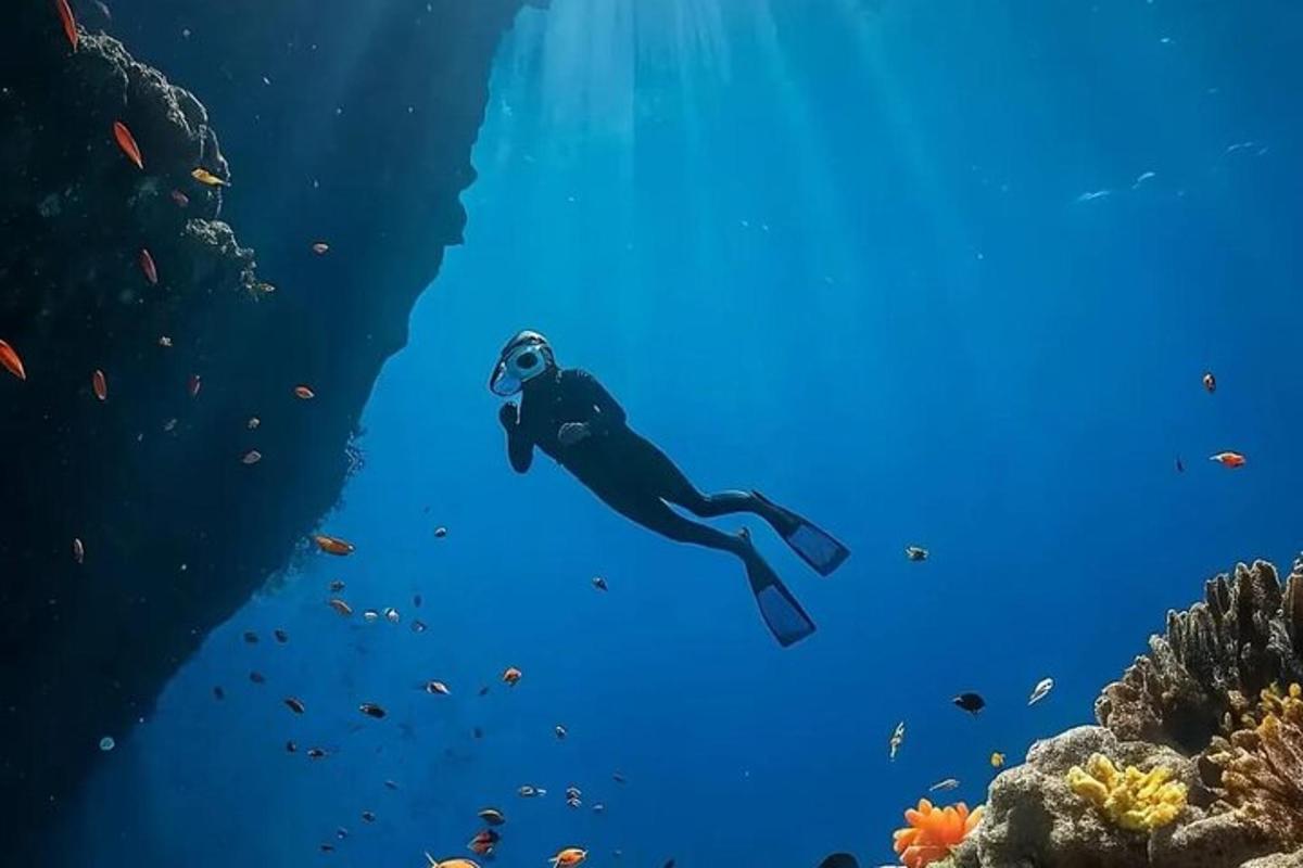 サンゴ礁の近くの海で泳ぐダイバー