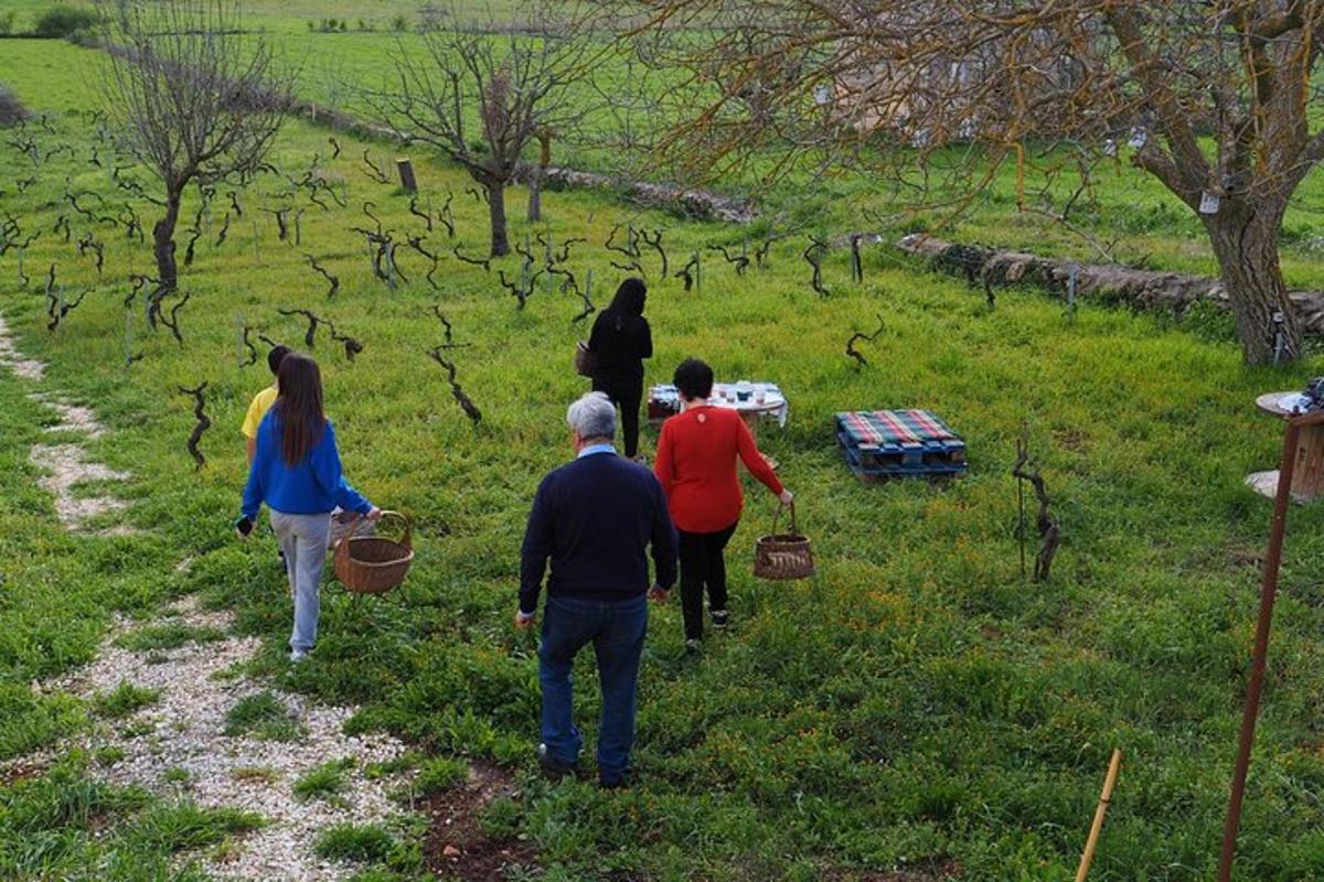 um grupo de pessoas caminhando em um campo