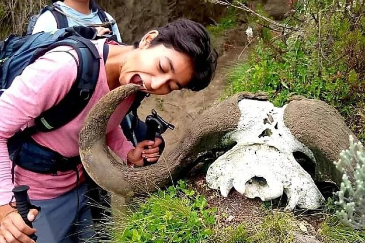 ein Mann mit einem Elefantenrüssel neben einem Totenkopf