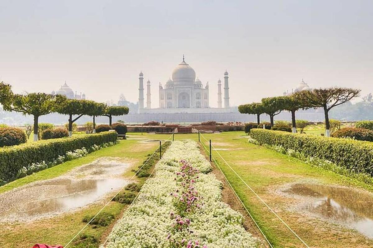 a garden with a building in the background
