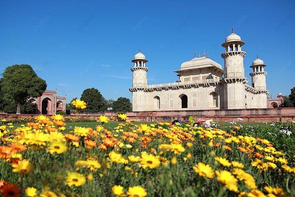 a field of flowers in front of a building