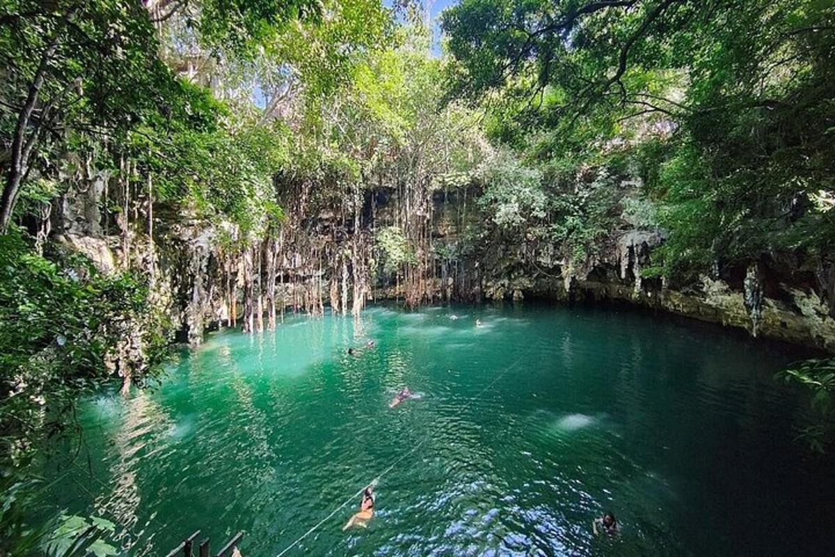 a pool of green water with people swimming in it