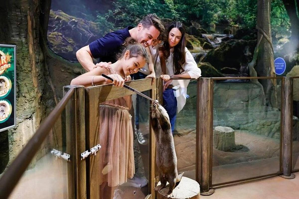a man and a woman and a girl looking at a giraffe