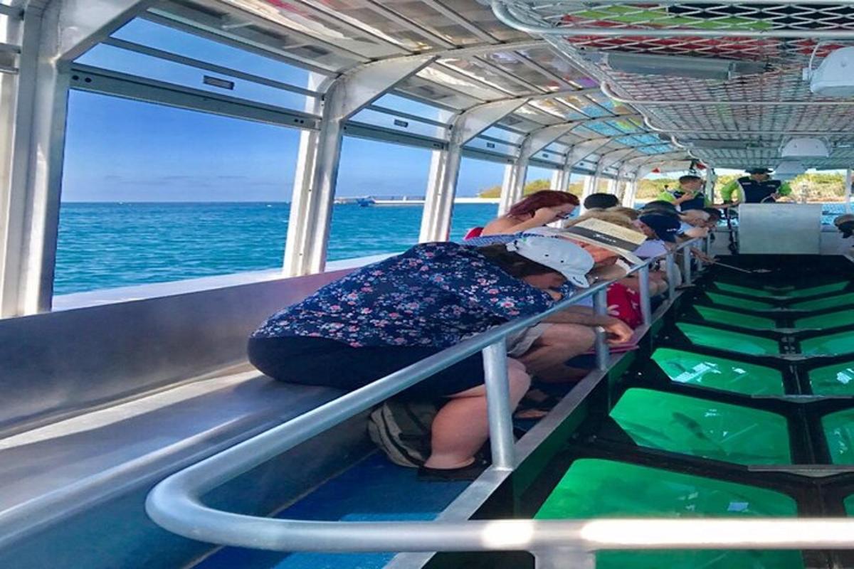 skupina lidí sedících v autobuse a dívajících se na oceán