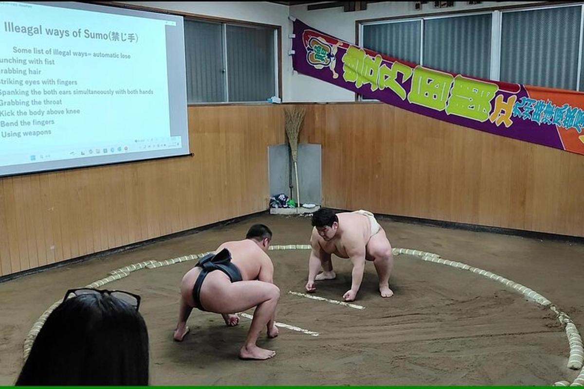 dva zápasníci v ringu v tělocvičně