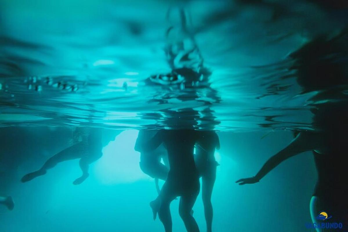 un grupo de personas nadando en el agua