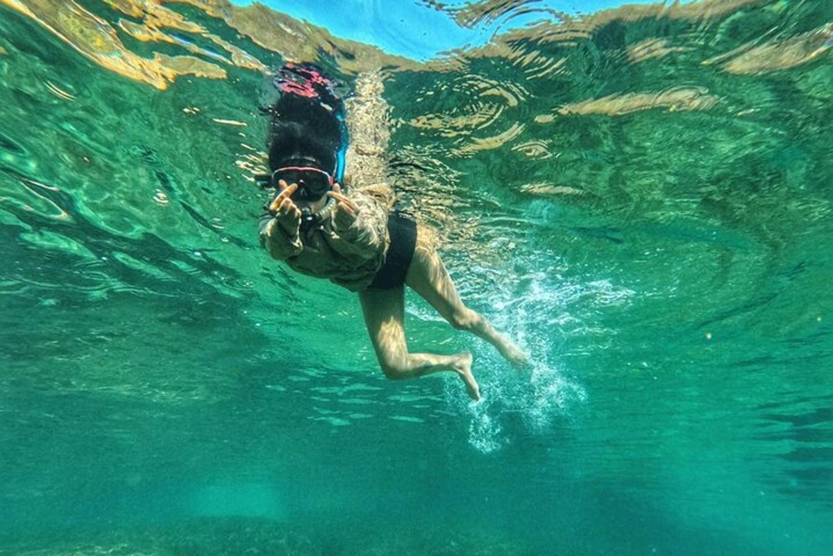 seseorang yang berenang di dalam air di lautan