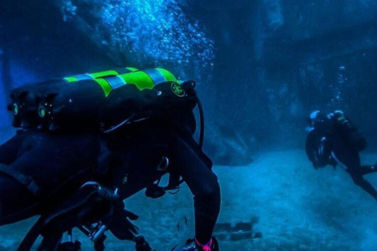 un submarinista en un aquari mirant un peix