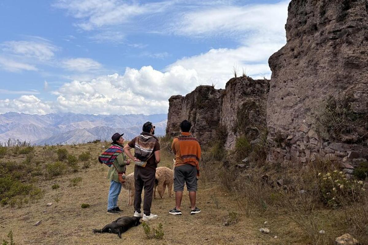 un gruppo di persone in piedi su una montagna con un cane