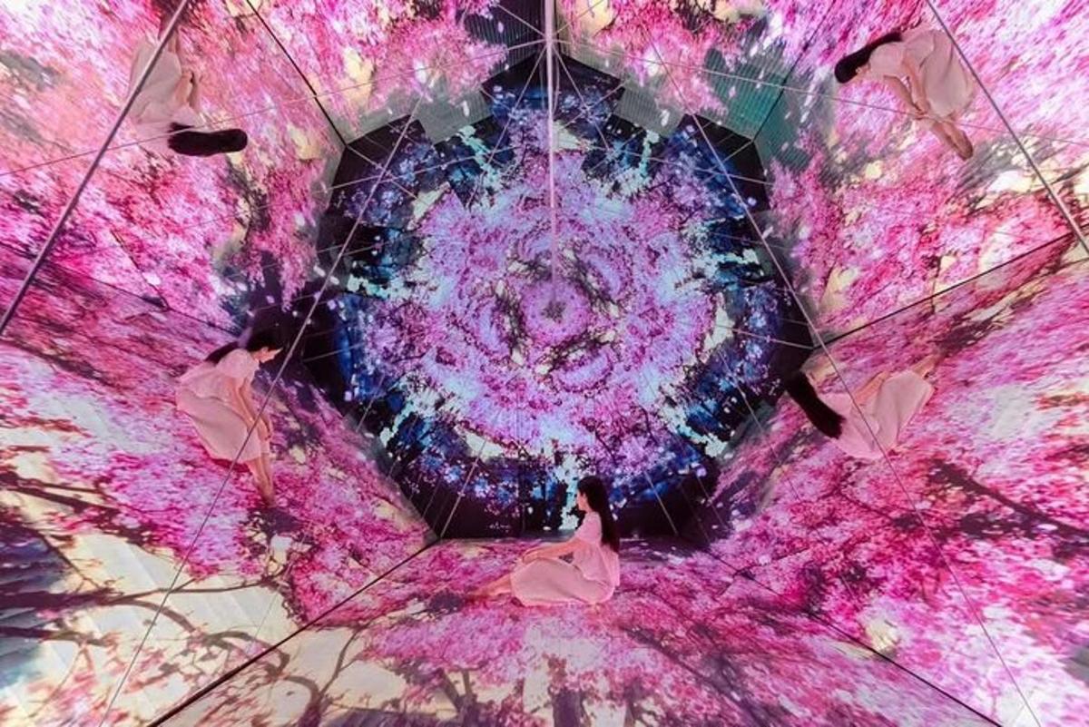 粉色漩涡中火烈鸟的万花筒图像