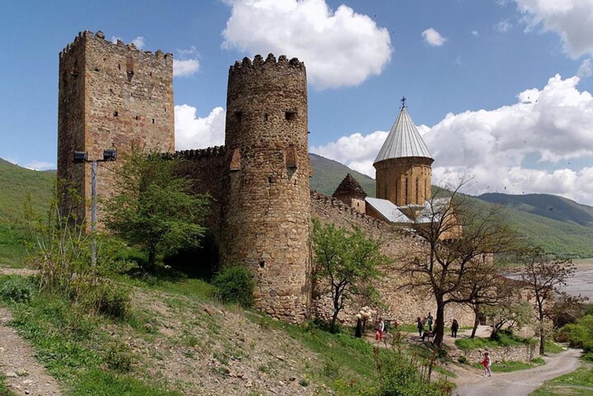 a castle with two towers on top of a hill