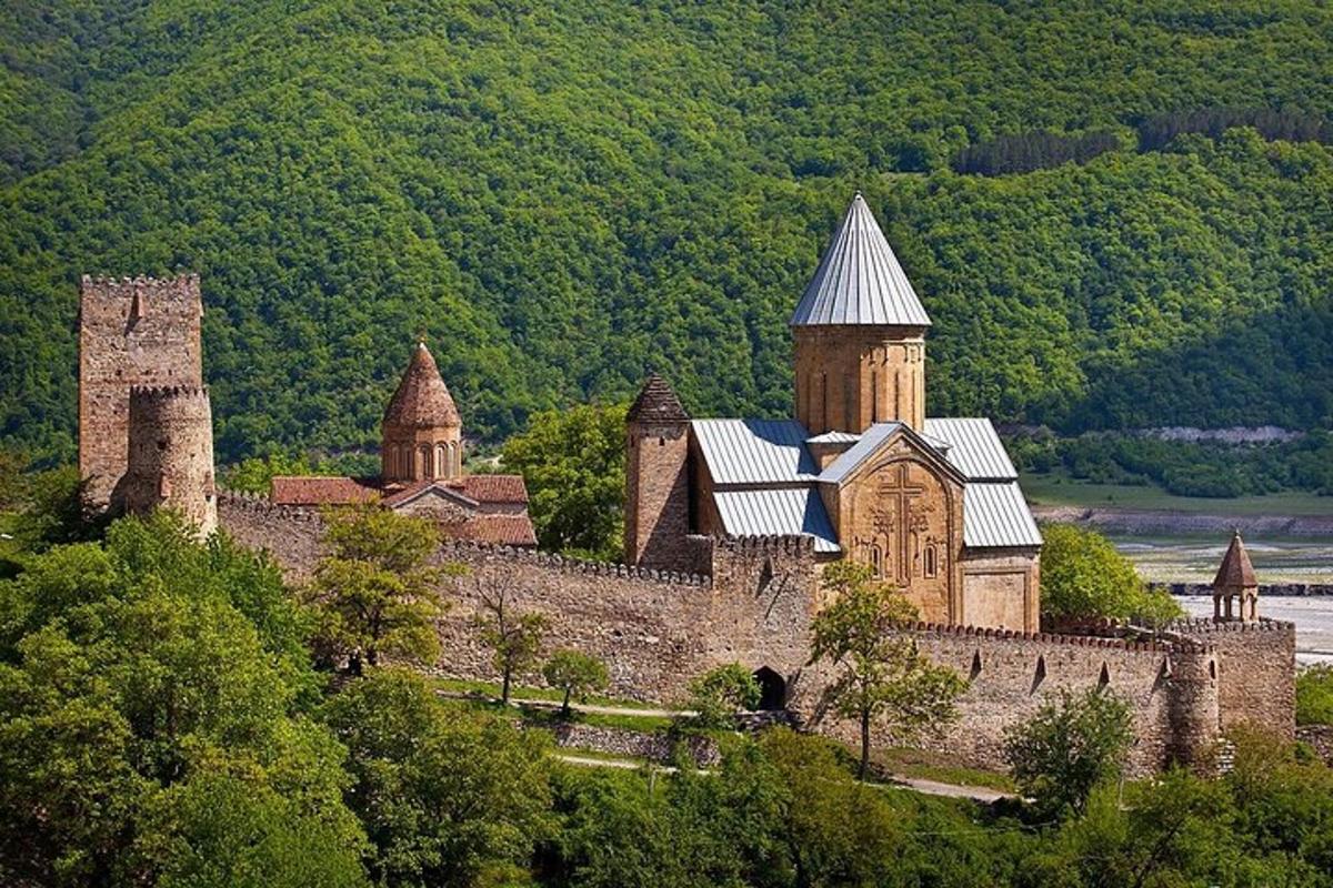 an old castle with turrets and a building on a hill