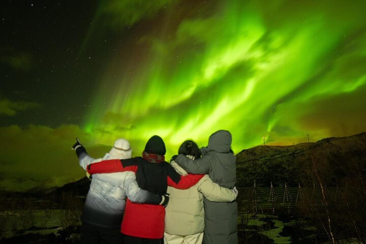 Un grupo de personas mirando la aurora boreal