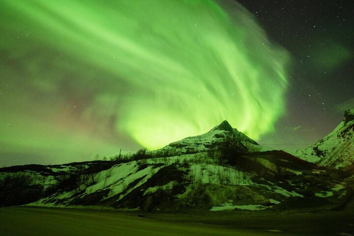 Norðurljós yfir fjalli með snjó og trjám