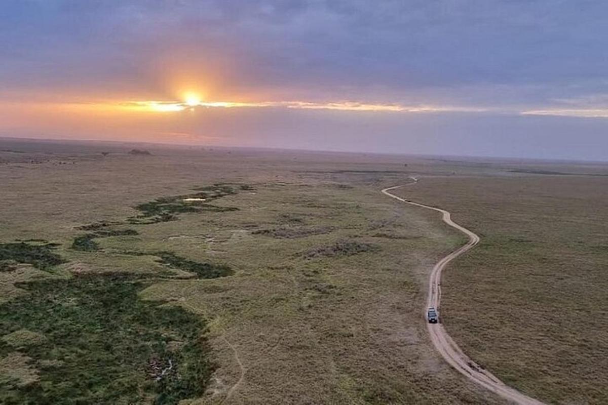 un'auto che percorre una strada in mezzo a un campo