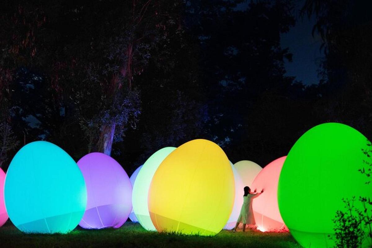 a person standing in front of a group of colored lights