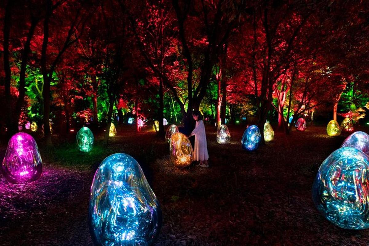 a woman standing in front of illuminated balls in a park