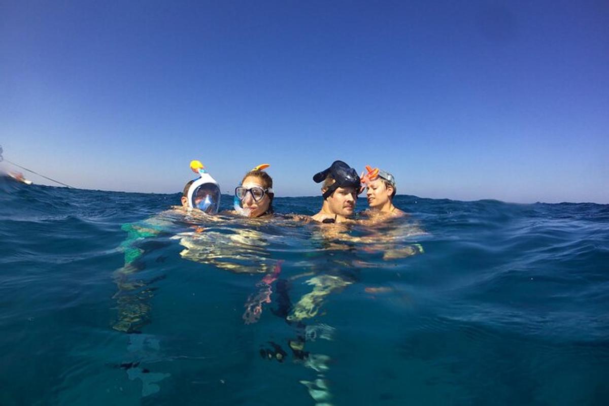 un groupe de personnes nageant dans l'eau