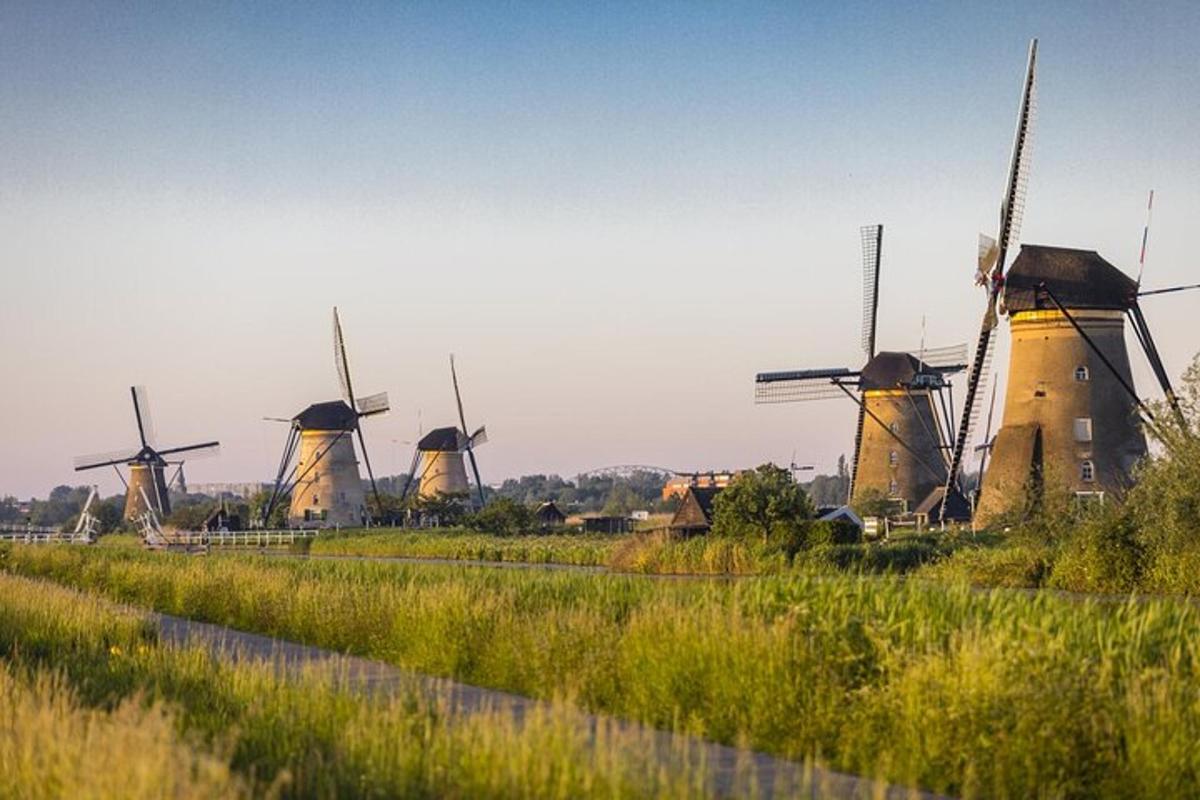 een groep windmolens in een veld met gras