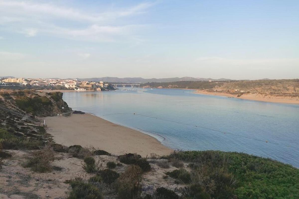 a view of a body of water with a beach