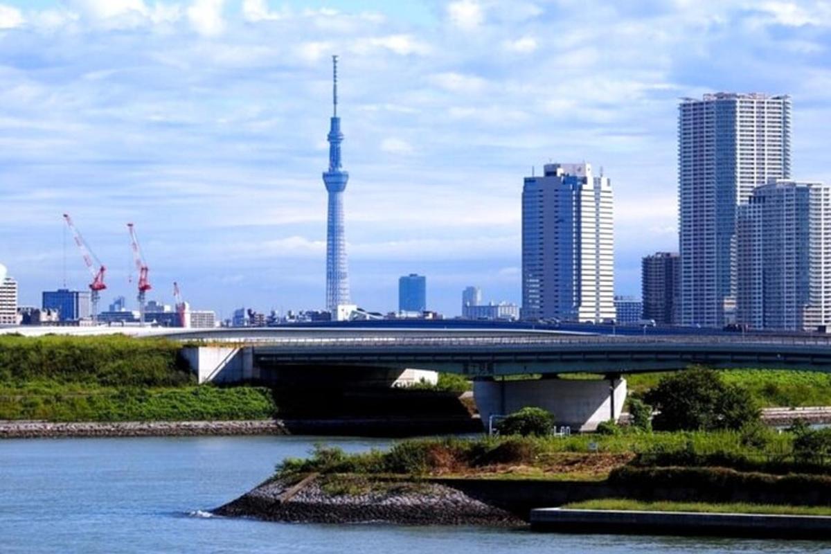 eine Brücke über einen Fluss mit einer Stadt im Hintergrund