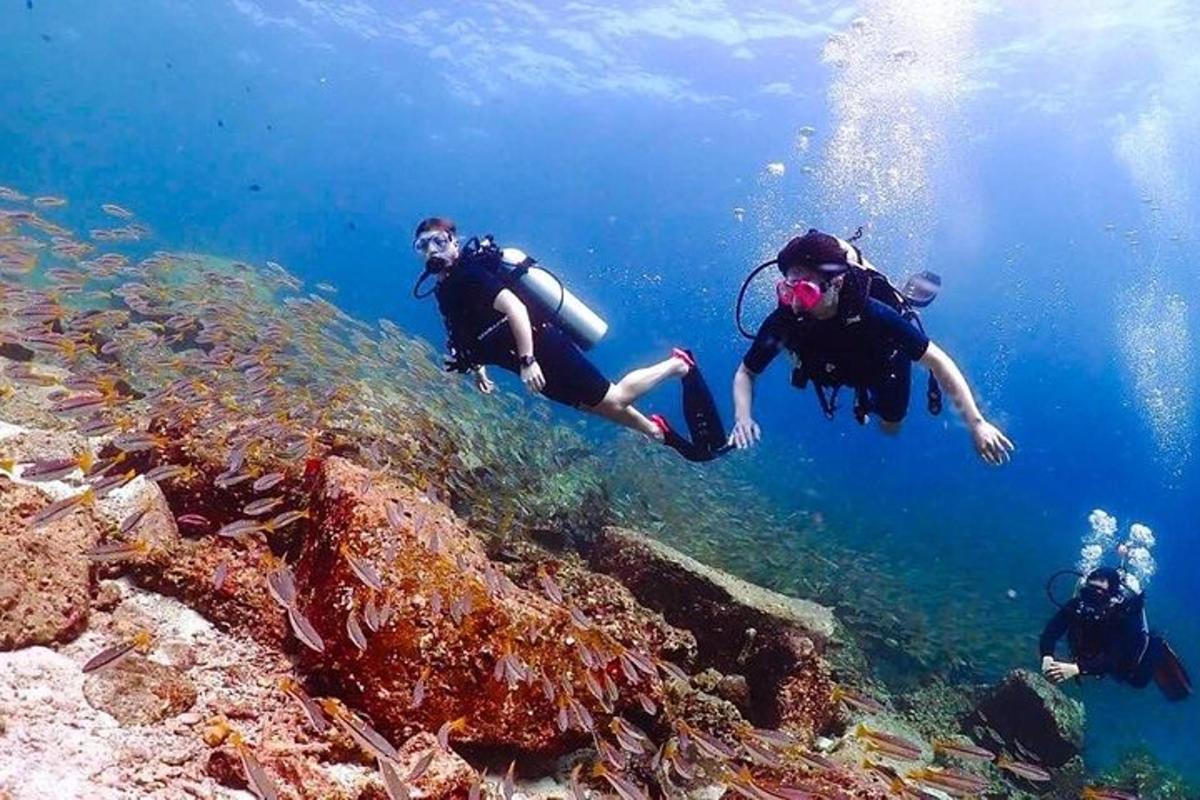 група људи која се баца у воду