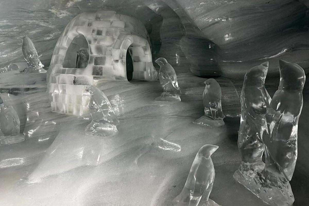a group of glass pigeons standing in a cave