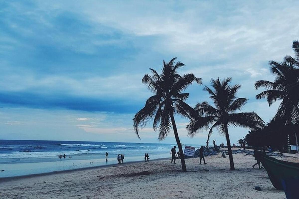 a group of people on a beach with palm trees