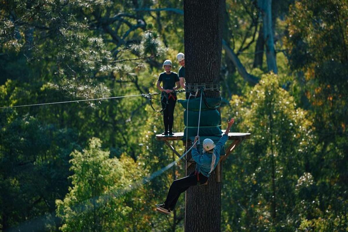 two people on a zip line on a tree