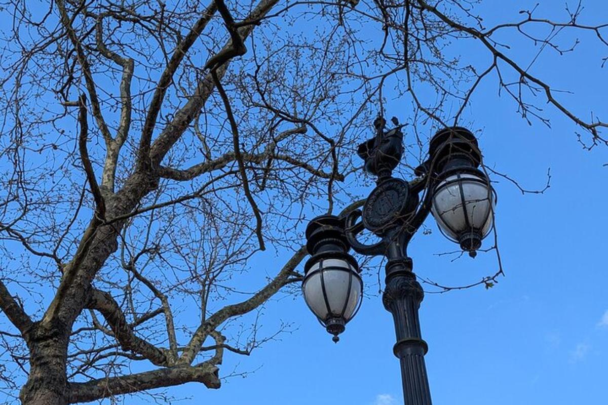 un lampione con un albero sullo sfondo