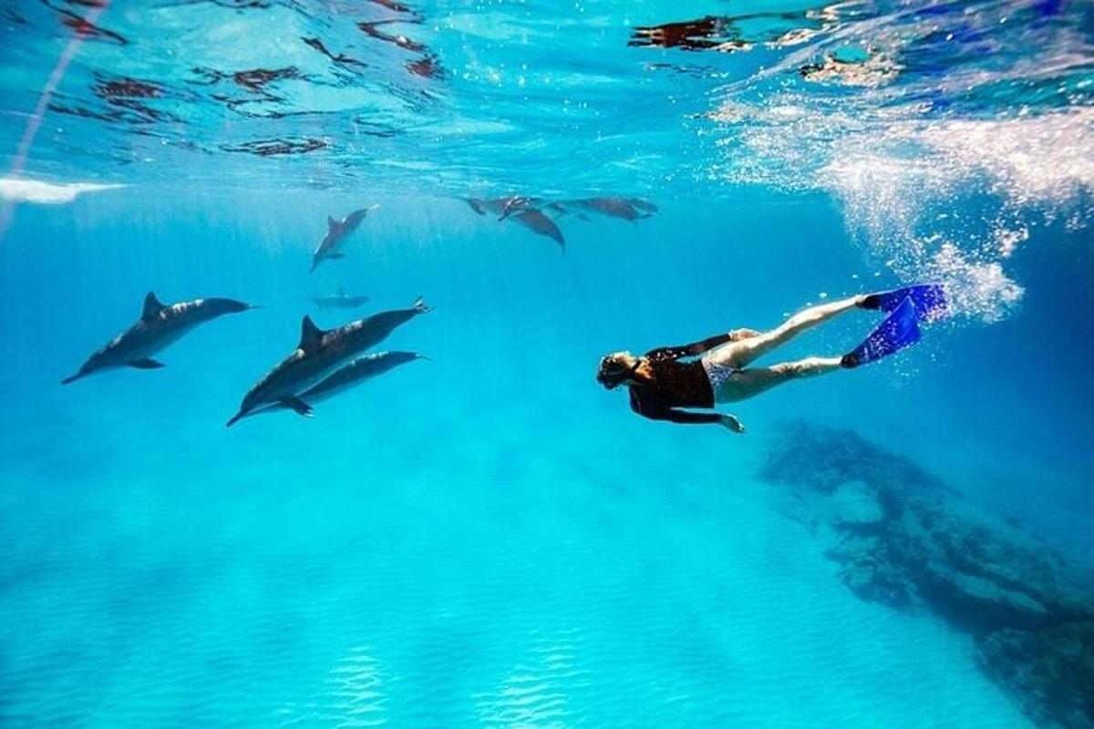 a man swimming in the water with sharks