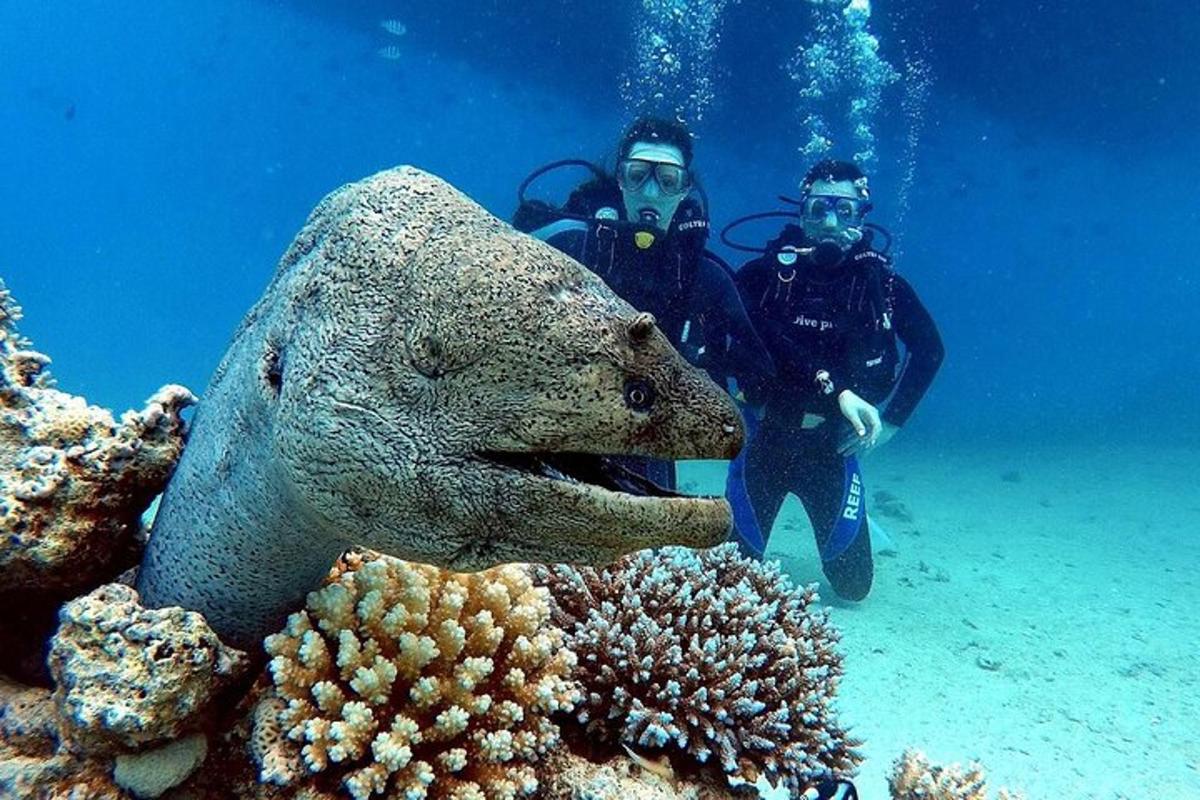 Dva muži stojí vedle ryby v oceánu