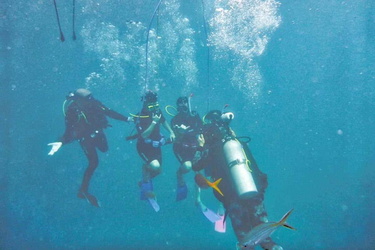 un gruppo di persone che nuotano nell'oceano