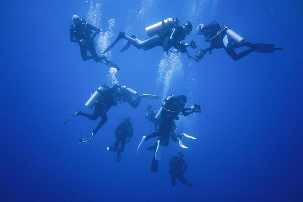 un gruppo di persone che nuotano nell'acqua