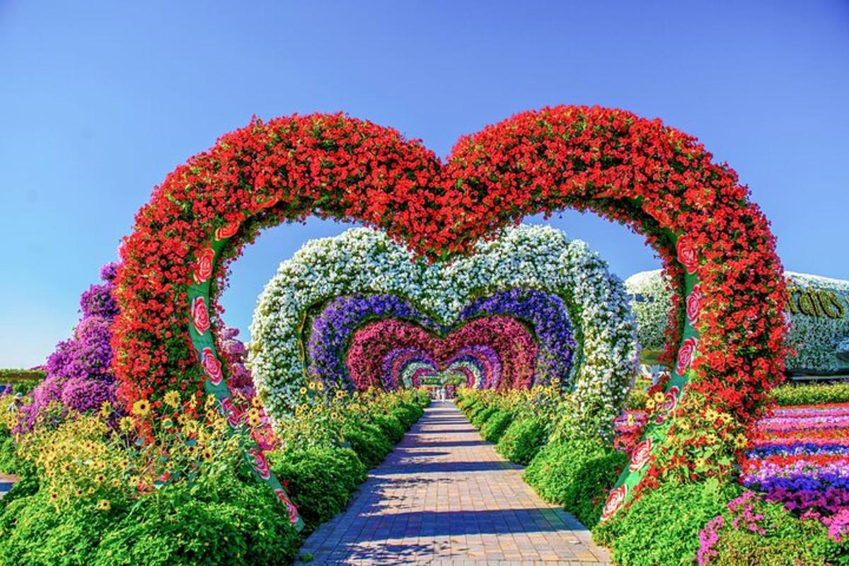 a garden of flowers in the shape of hearts