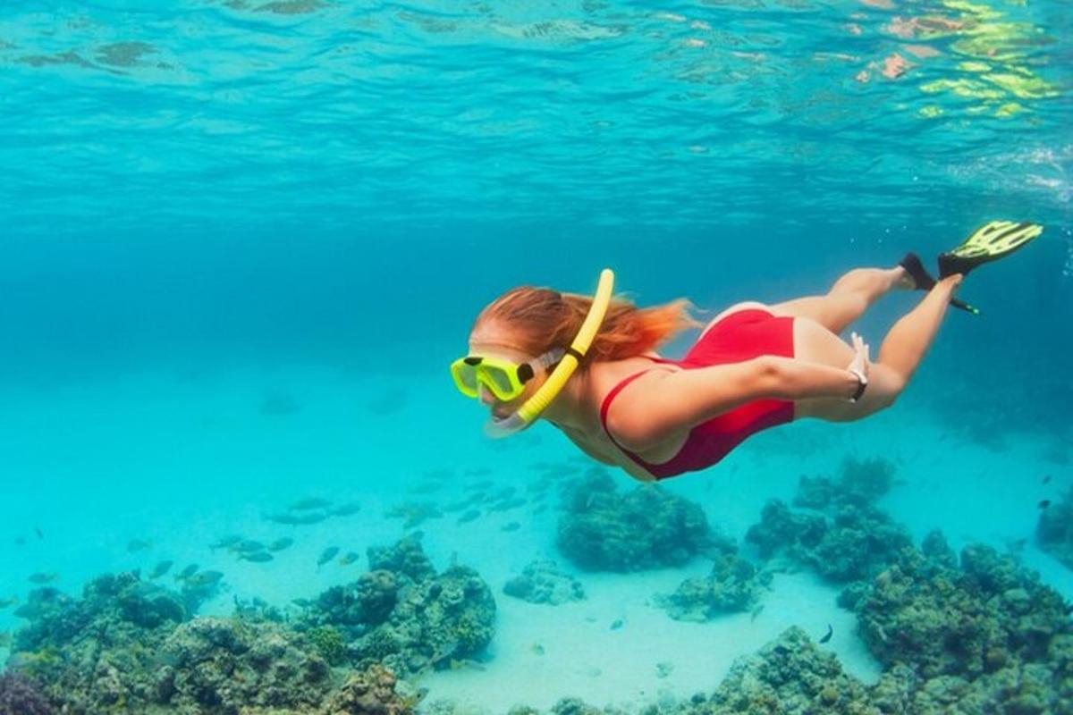 seorang wanita dalam pakaian renang dan cermin mata berenang di dalam air