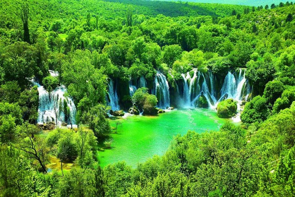 a waterfall in the middle of a forest with green water