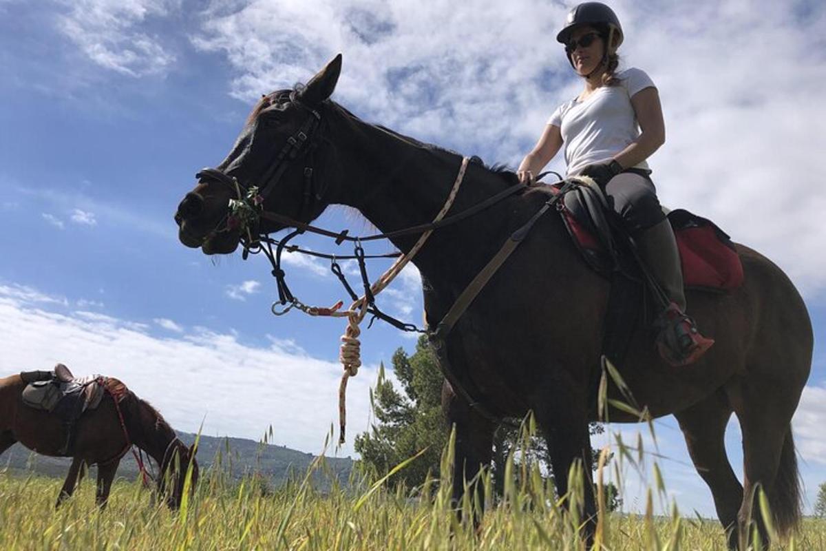 una donna seduta su un cavallo in un campo